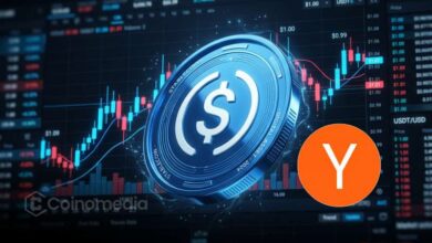 Chart showing BNB Chain stablecoin inflows rising by $518 million in 24 hours