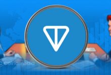 Toncoin whale accumulation during market decline showing large investors buying TON tokens