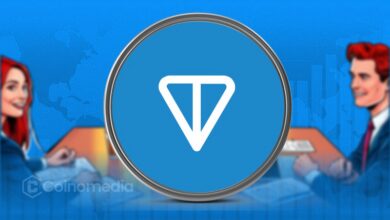 Toncoin whale accumulation during market decline showing large investors buying TON tokens