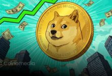 Dogecoin whale wallets reach record 108.52 billion DOGE as whale activity rises.