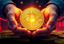 Bitcoin drawdown chart showing reduced decline compared to previous cycles