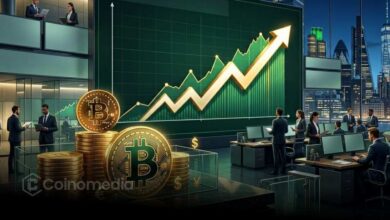 Bitcoin-Financialization