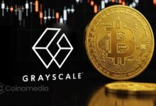 Bitcoin Stock Gains outlook showing potential for Bitcoin to rally alongside stocks if the Federal Reserve pauses interest rate hikes.