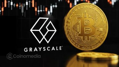 Bitcoin Stock Gains outlook showing potential for Bitcoin to rally alongside stocks if the Federal Reserve pauses interest rate hikes.