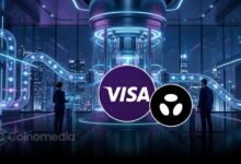 Visa-and-Brale