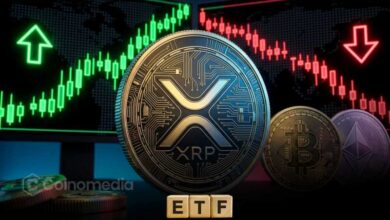 XRP ETF Inflows Stand Out as BTC and ETH See Outflows