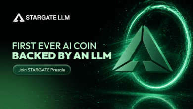 Alphabet Made $4.3 Trillion Off Gemini Users - Stargate Pays You Back, Solana and XRP Don't