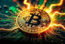Chart illustrating Bitcoin triggering a second early bull signal, highlighting a potential market bottoming phase and improving long-term sentiment.