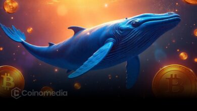 Chart showing Bitcoin whale accumulation of 38,000 BTC alongside a highlighted $70,000 price level identified as a potential distribution zone.