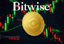 Illustration representing Bitwise reducing its workforce by 14% as the company adjusts operations during the ongoing crypto market downturn.