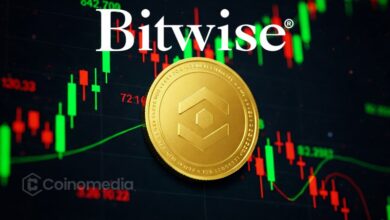 Illustration representing Bitwise reducing its workforce by 14% as the company adjusts operations during the ongoing crypto market downturn.