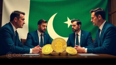 Illustration of Pakistan's crypto licensing portal, highlighting the September 5 deadline for virtual asset firms to obtain regulatory approval or cease operations.