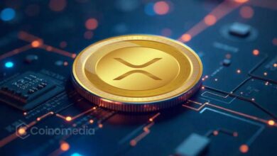 Chart showing XRP realized volatility on Binance declining to its lowest level in three months, indicating reduced daily price fluctuations and calmer market conditions.