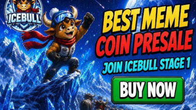 How to Make Money With Crypto in 2026? IceBull’s Stage 1 and 1250X Potential Put Timing in Focus