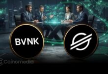 BVNK Stellar integration enabling businesses to access cross-border stablecoin payments through a single API.