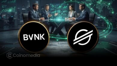 BVNK Stellar integration enabling businesses to access cross-border stablecoin payments through a single API.