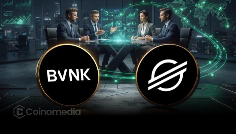 BVNK Stellar integration enabling businesses to access cross-border stablecoin payments through a single API.