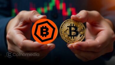 Illustration showing Capital B purchasing 376 Bitcoin worth $29.4 million, increasing its corporate Bitcoin treasury to a total of 3,521 BTC.