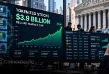Tokenized stock market cap reaches a record $3.9 billion, with BNB Chain, Ethereum and Solana accounting for approximately 70% of the market.