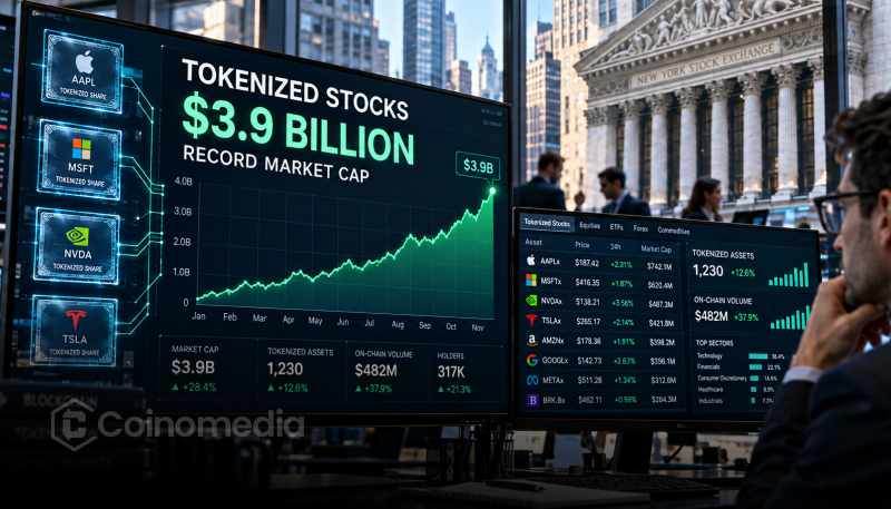 Tokenized stock market cap reaches a record $3.9 billion, with BNB Chain, Ethereum and Solana accounting for approximately 70% of the market.